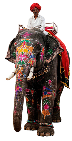 Decorative Elephant